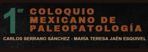 Sin título (1024 x 180 px) (520 x 183 px)